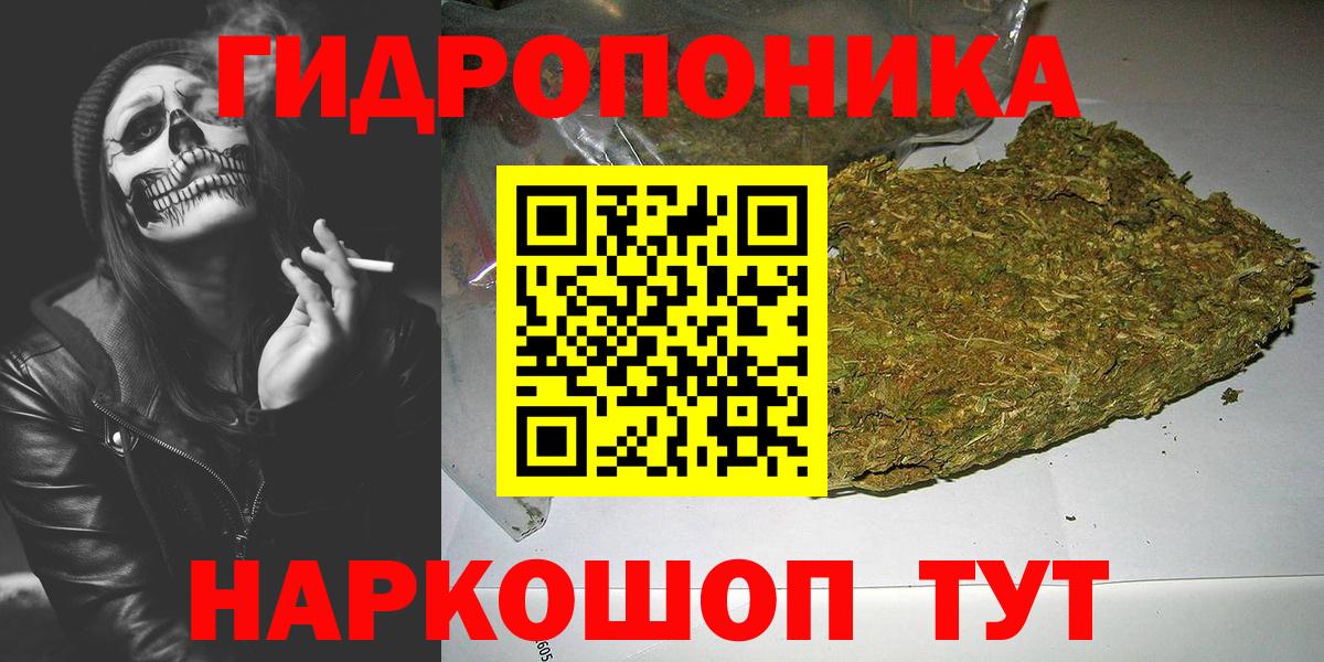 Каннабис планчик Вятские Поляны